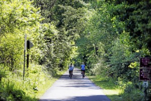 Two people pedaling down a sunny tree lined bike path.