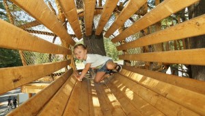 Protected by a wrap of netting, a 3 year old climbs through a maze of trails in the Tree House Park.