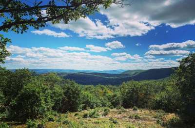 Berkshire Edge Business Monday