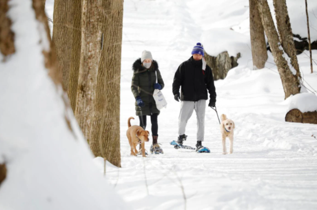 The average age of Berkshire County tourists is younger than you think — 11 years younger, actually