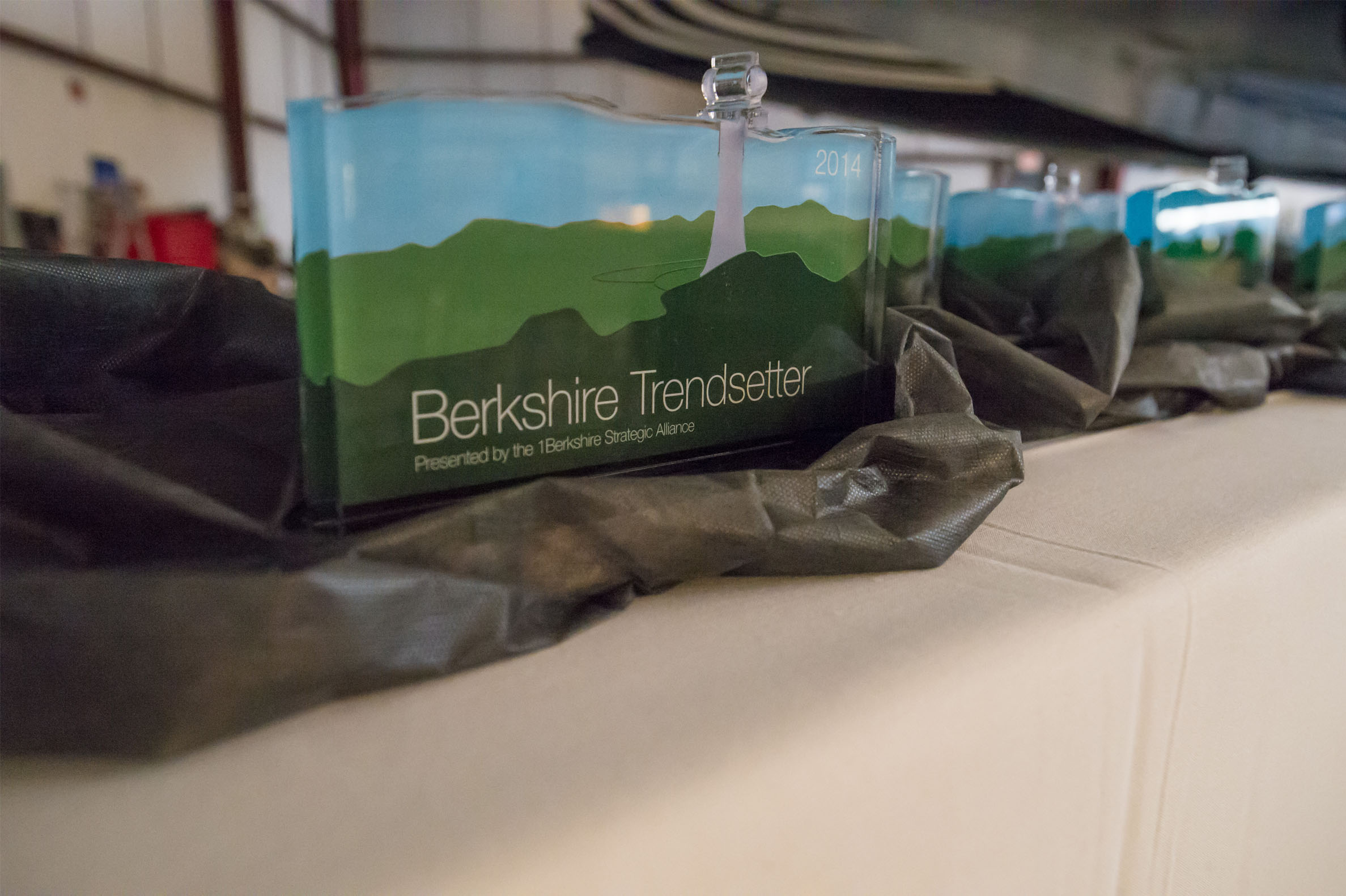 Nominate yourself or someone else in the Berkshire region.