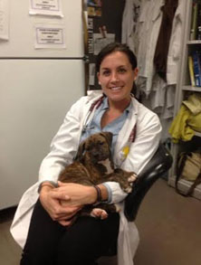 Meet Your Pets’ Best Friends: The Women of Pittsfield Veterinary Hospital